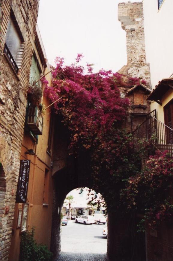 La Casa Degli Artisti 1 Nettuno